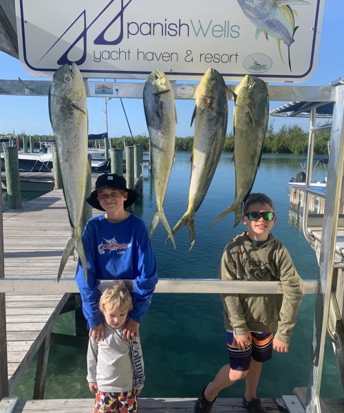 Photo Apr 10 2021, 8 42 43 AM