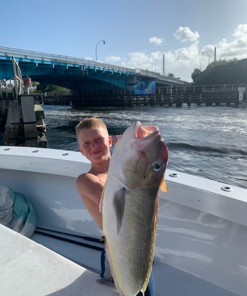 Photo Jul 14 2022, 6 19 20 PM