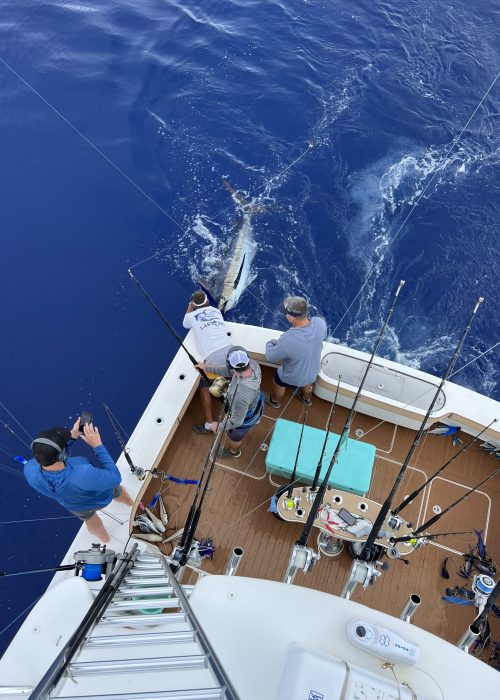 Photo Jun 18 2022, 10 30 21 AM