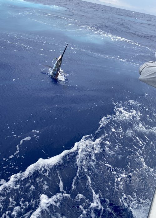 Photo May 12 2023, 4 48 02 PM