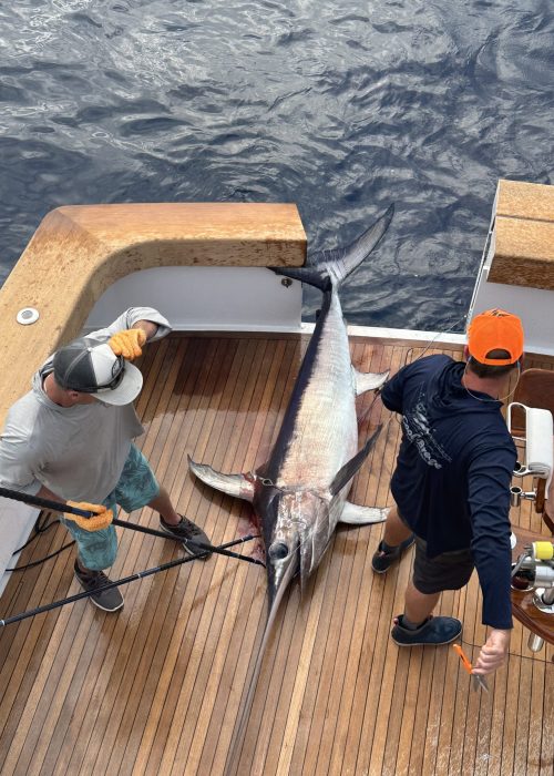 Photo Nov 24 2023, 3 47 37 PM